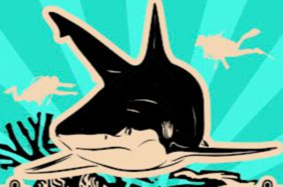 Initiative to Save Our Sharks #QueensOfTheOcean