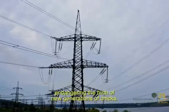 ENDESU (Espacios Naturales y Desarrollo Sustentable A.C.) and the Mexican Fund for the Conservation of Nature (FMCN)